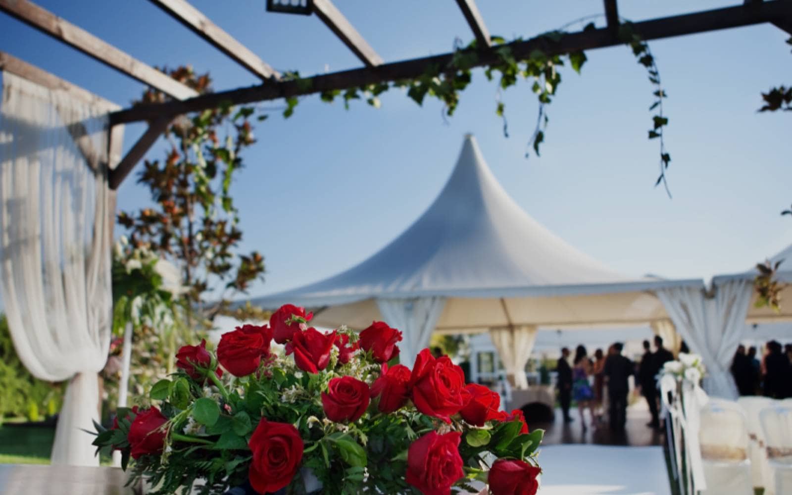Event Planning and Correspondence